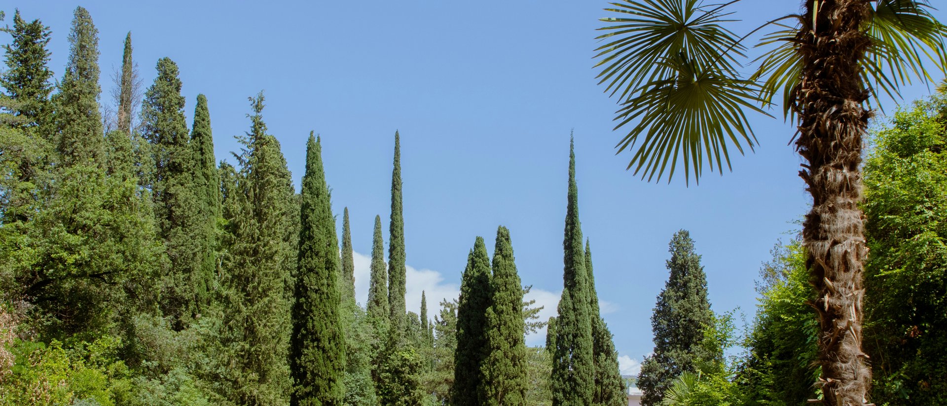 Lago di Garda: escursione di un giornoai borghi